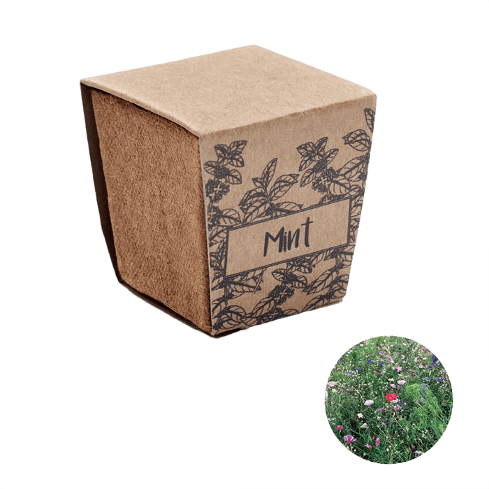 Mint seeds växtkits