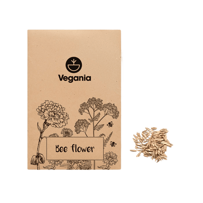 Flower mix seeds envelope beige