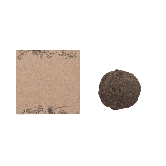 Seed ball growing kit