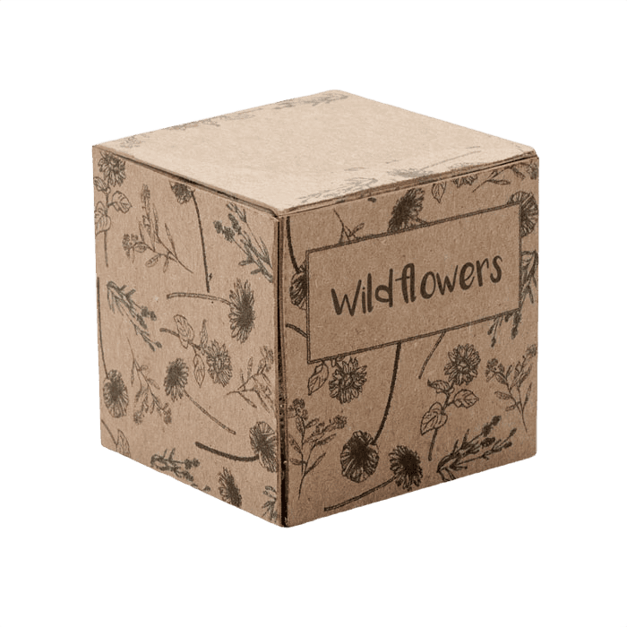Seed ball growing kit beige