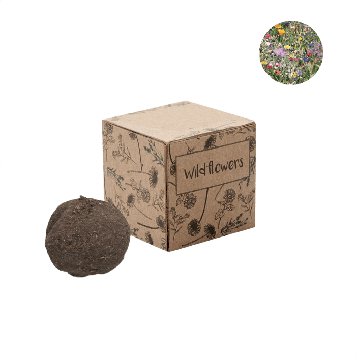 Seed ball growing kit