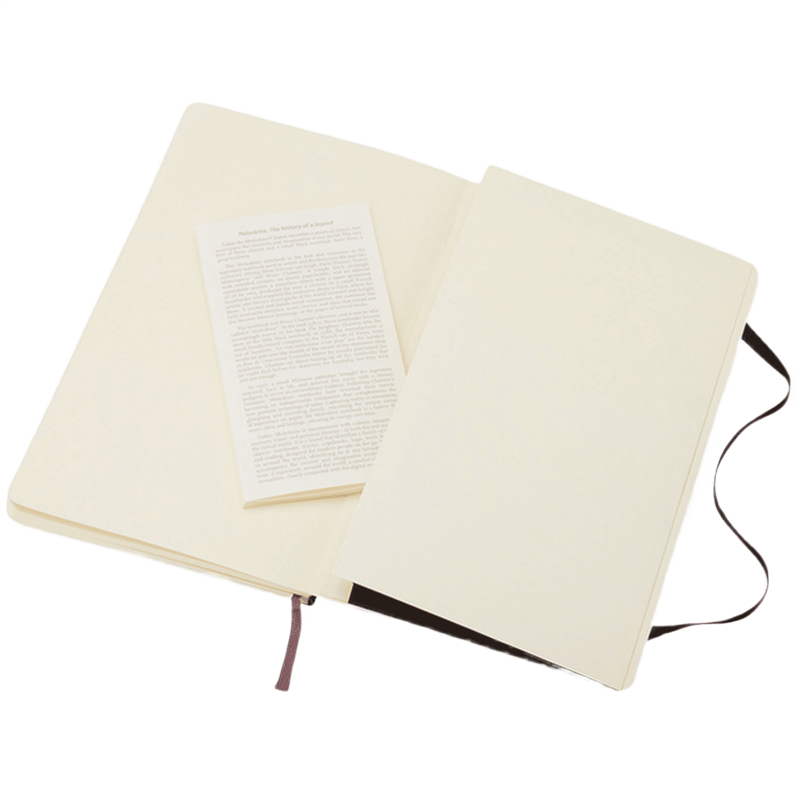Moleskine Classic L-anteckningsbok med mjukt omslag, linjerad svart