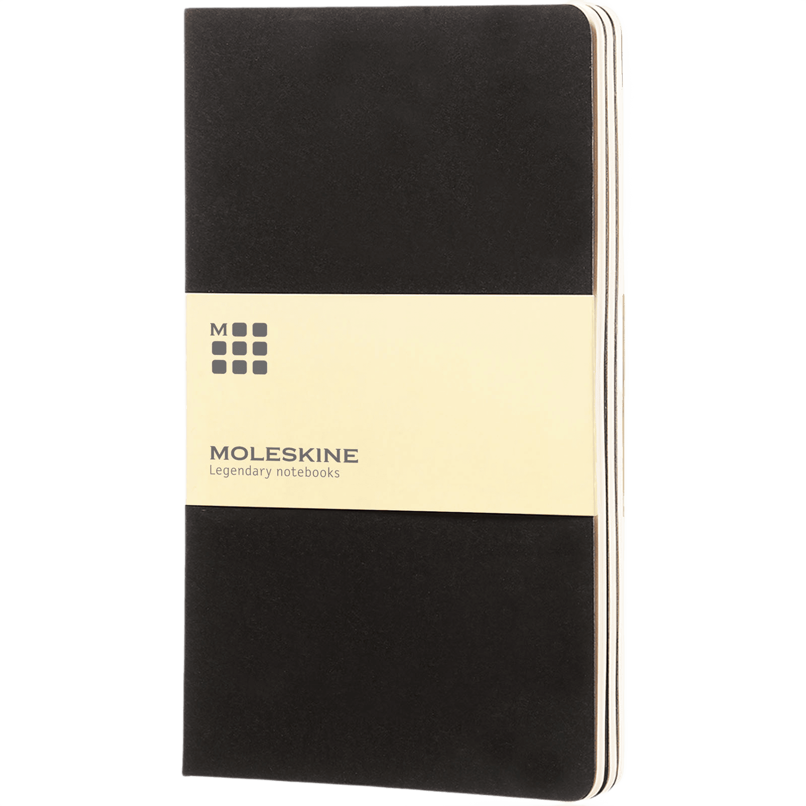 Moleskine Cahier journal