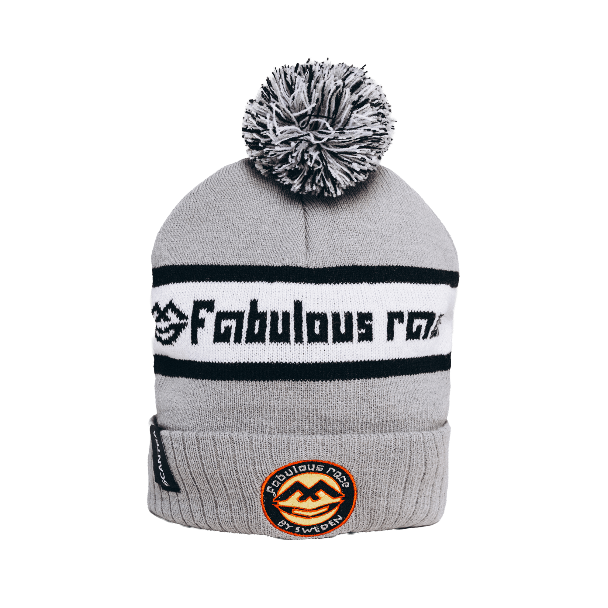 Fabulous Race Cozy Reflective Beanie