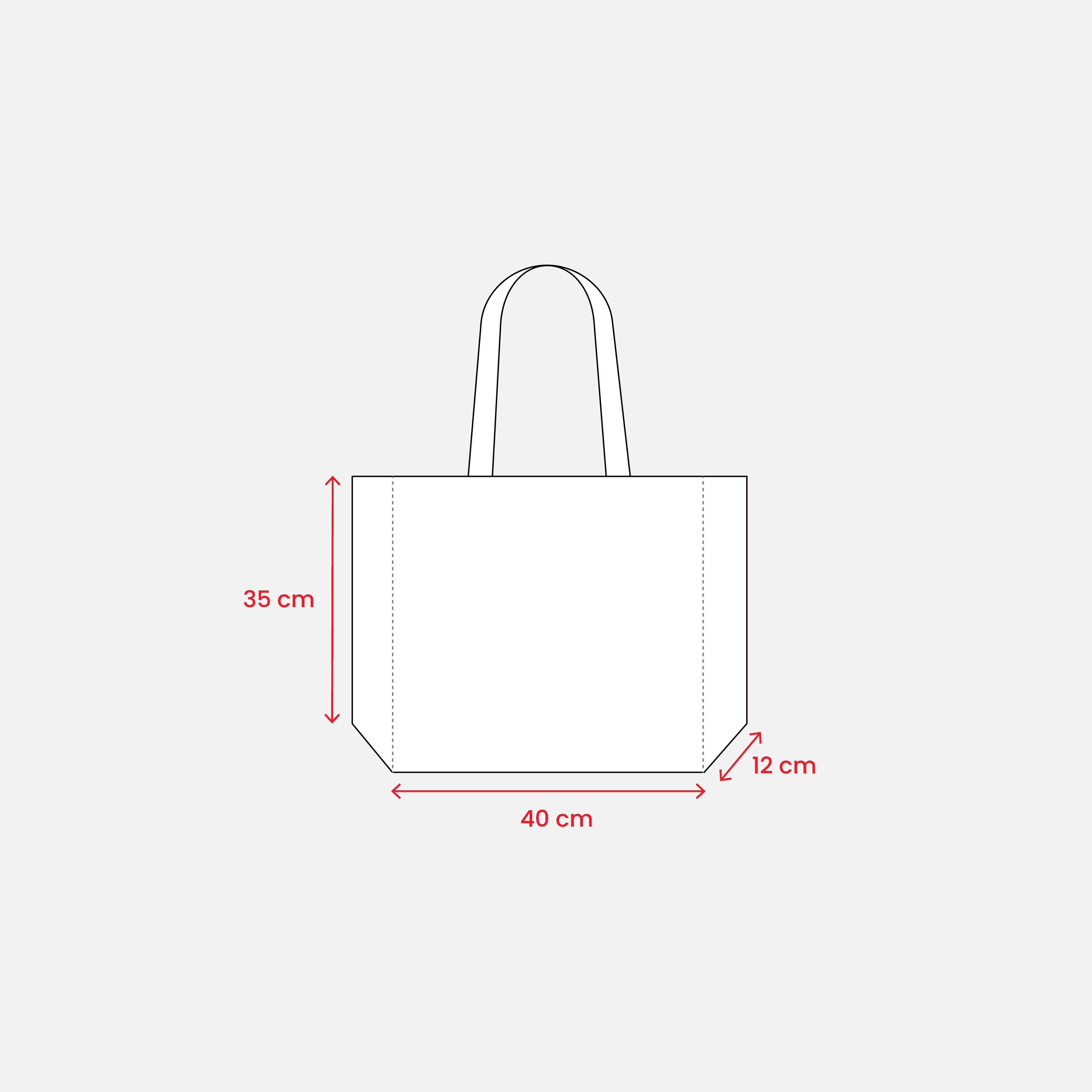 Non-Woven Shopping Bag Long Handles